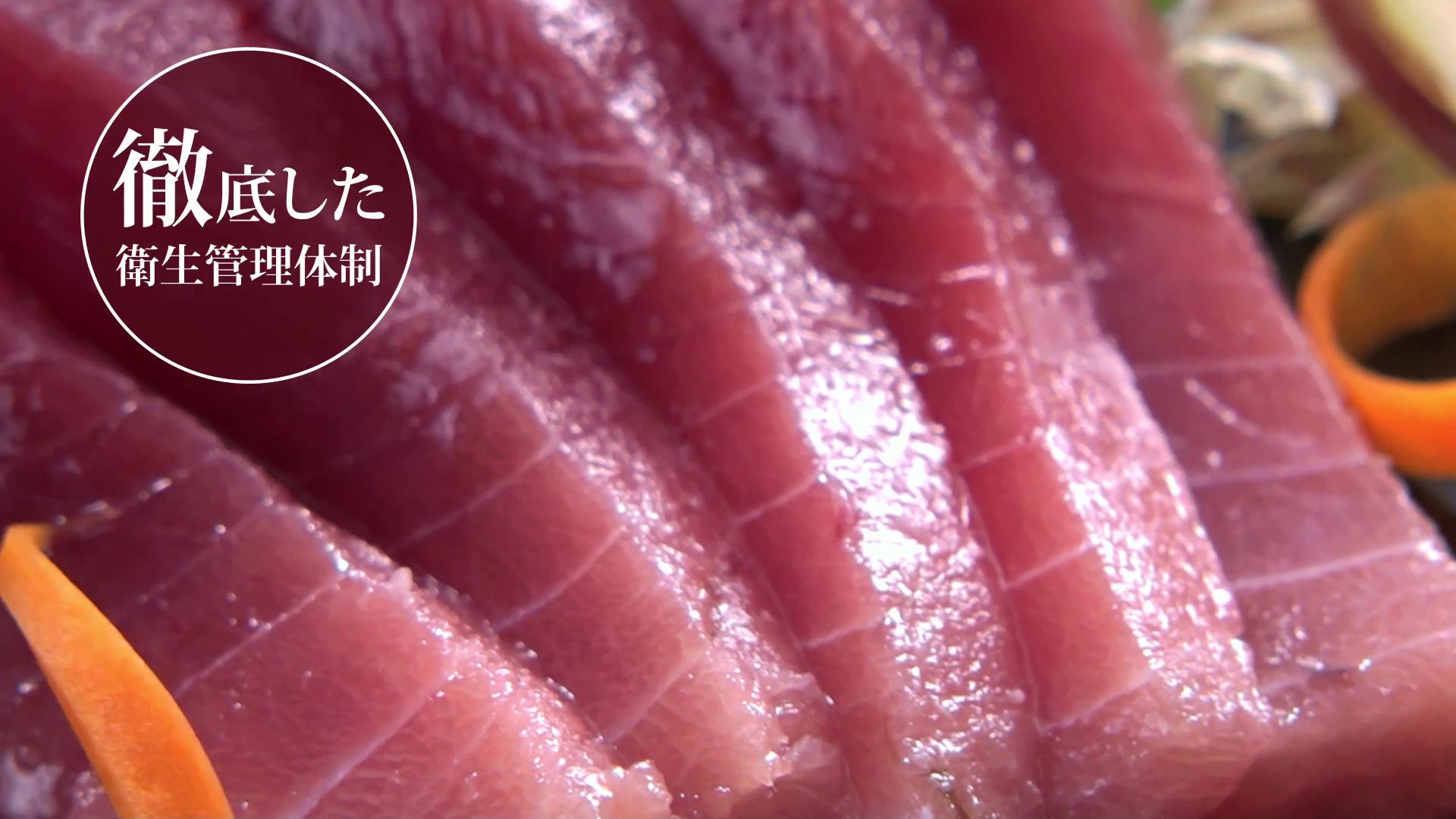 まぐろ shin 株）新基｜冷凍マグロ・生まぐろの輸入・加工・販売業者 ～SHINKI～